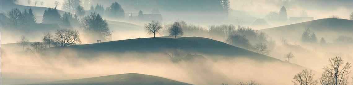 Foto di StockSnap da Pixabay
