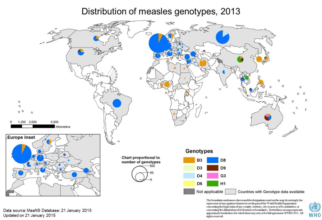 big_measles_genotype_2013